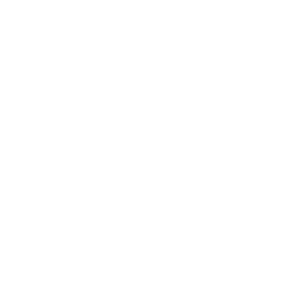 icon trust worthiness
